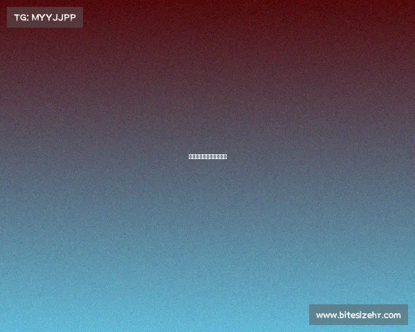 广东省运会今日赛事直播